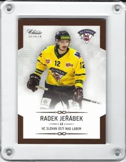 Jeřábek Radek OFS Chance Liga 2018-19  č.239